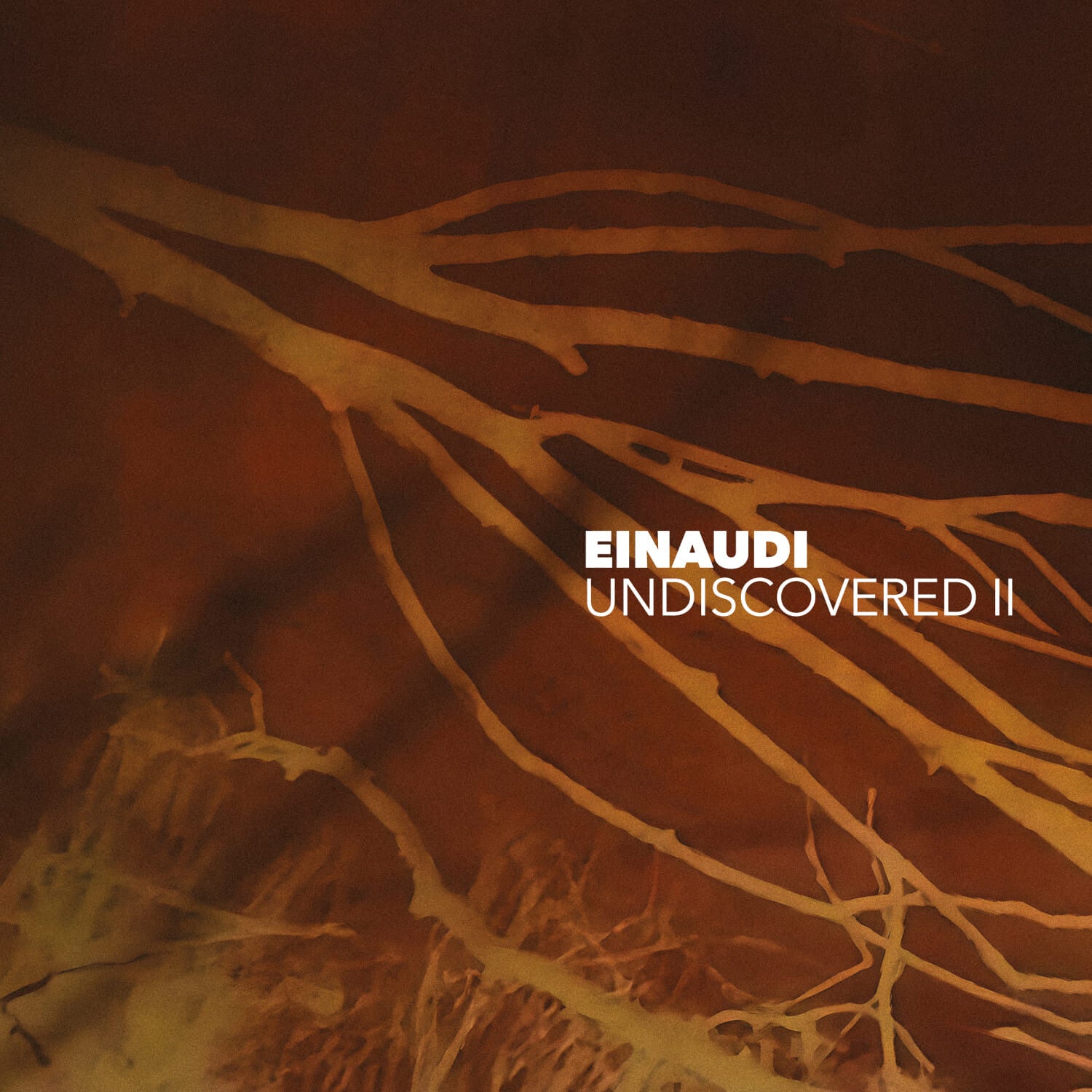 https://images.bravado.de/prod/product-assets/product-asset-data/einaudi-ludovico/ludovico-einaudi/products/502685/web/379769/image-thumb__379769__3000x3000_original/Ludovico-Einaudi-Undiscovered-Vol-2-CD-Album-502685-379769.e54eab9b.jpg